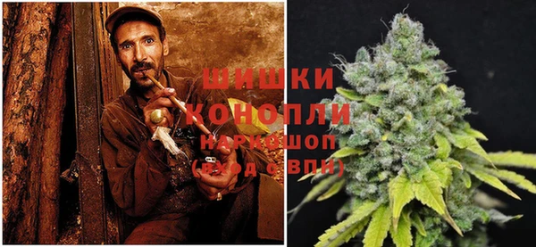 PSILOCYBIN Каменка