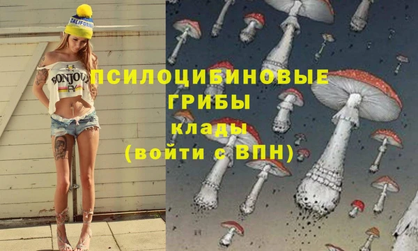 a pvp Карпинск