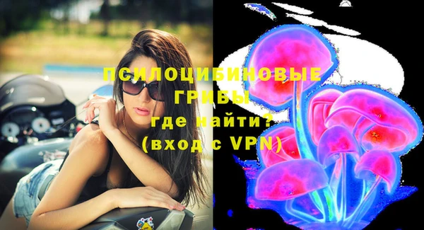 меф Каменск-Шахтинский