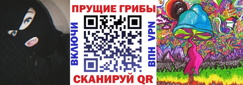 купить   Буинск  Галлюциногенные грибы мухоморы 