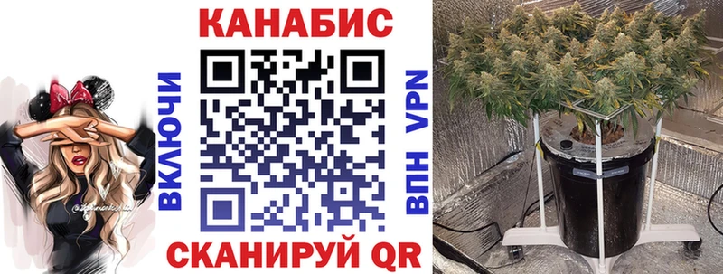 Канабис Ganja  где продают наркотики  Буинск 